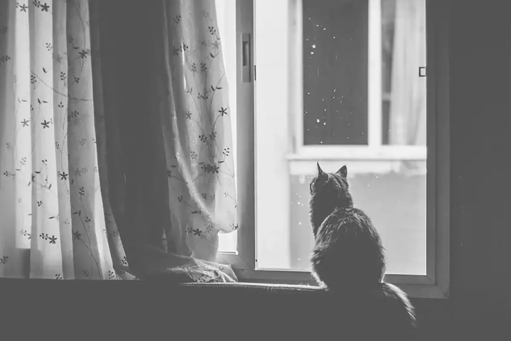 Awning Windows Central Coast